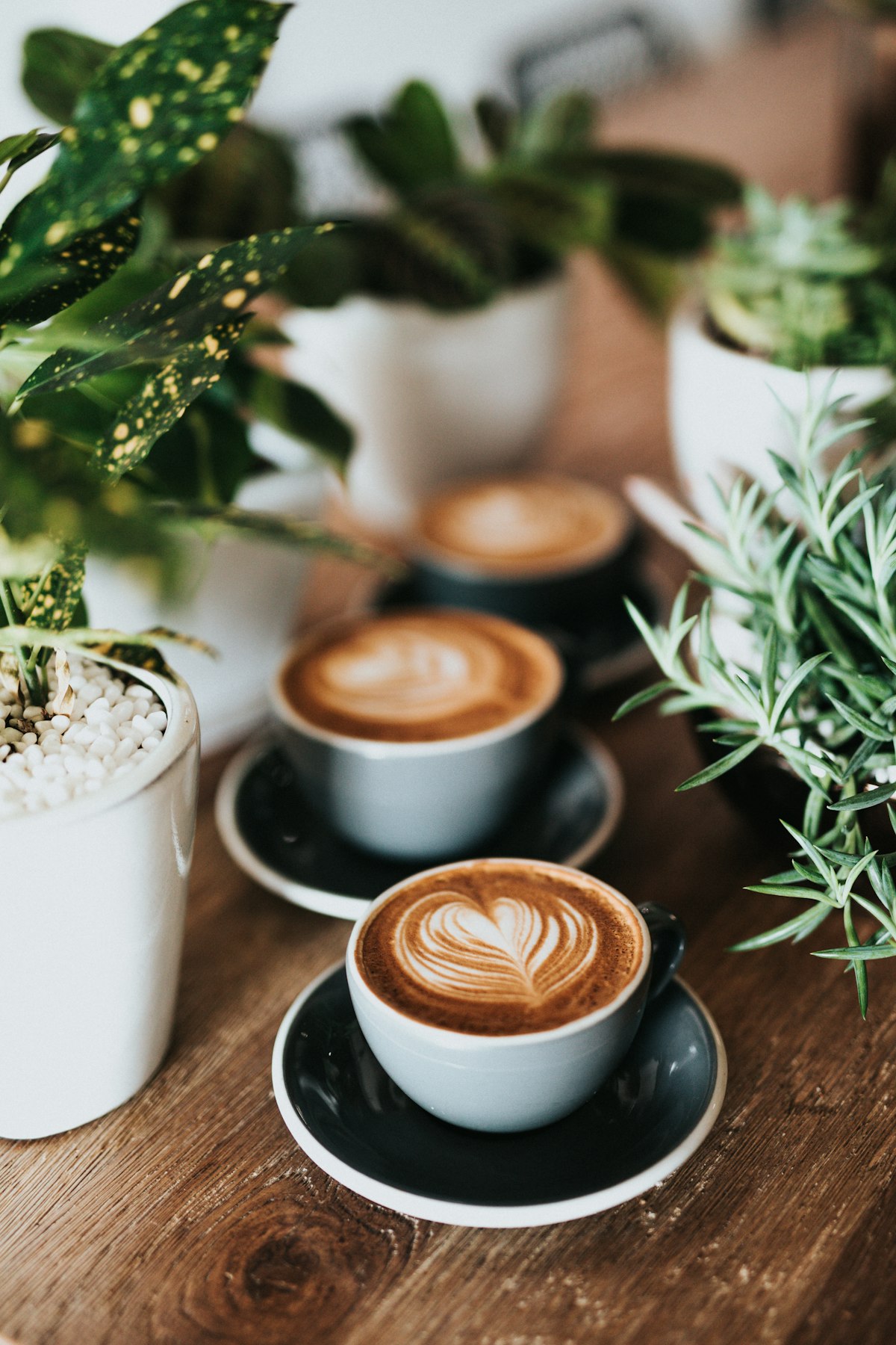 A customer ordering coffee and using everyday English phrases at a cafe counter