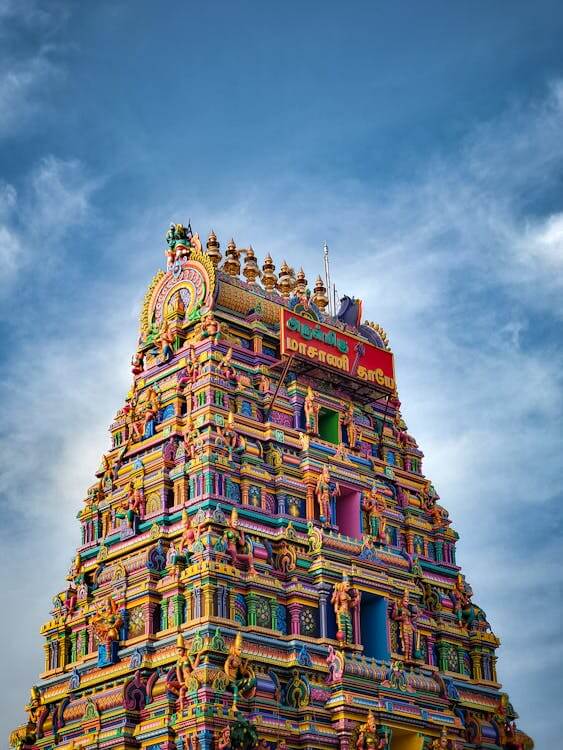 Intricate carved details on a Tamil Nadu temple wall